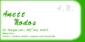anett modos business card